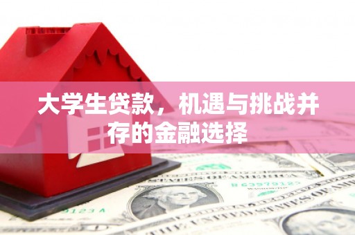 西螺大学生贷款，机遇与挑战并存的金融选择