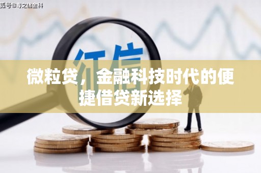 西螺微粒贷，金融科技时代的便捷借贷新选择