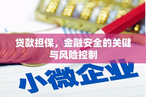 西螺贷款担保，金融安全的关键与风险控制