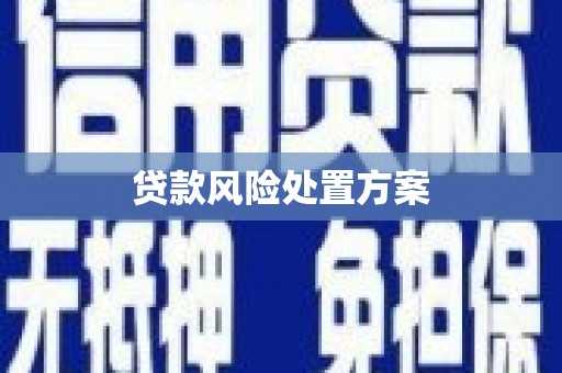 西螺贷款风险处置方案