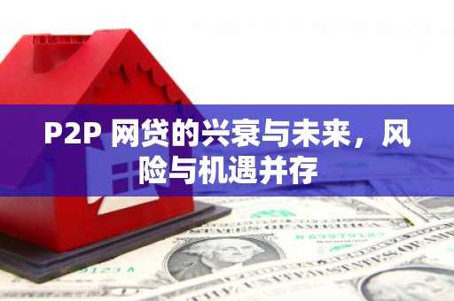 西螺P2P 网贷的兴衰与未来，风险与机遇并存