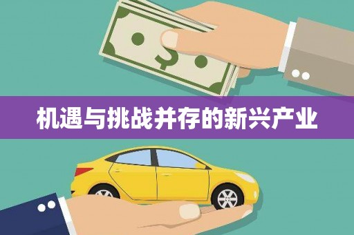 西螺机遇与挑战并存的新兴产业