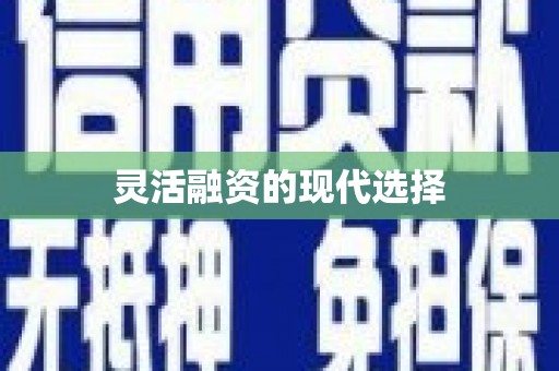 西螺灵活融资的现代选择