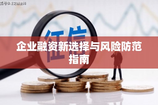 西螺企业融资新选择与风险防范指南