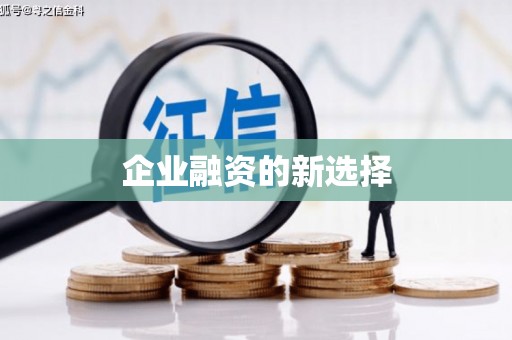 西螺企业融资的新选择