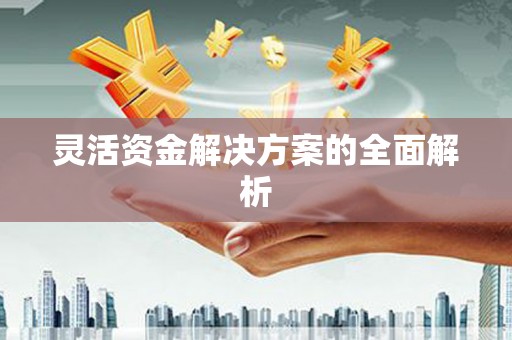 西螺灵活资金解决方案的全面解析